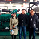 Generador a Gas Silencioso Cummins 50KVA - Importador Directo - Fábrica China Verificada - Producto Garantizado